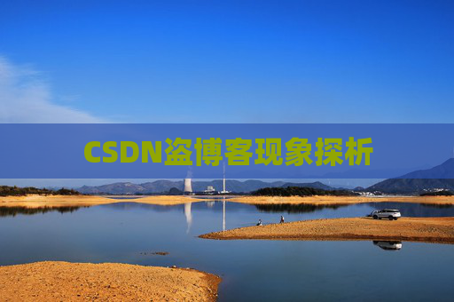 CSDN盗博客现象探析